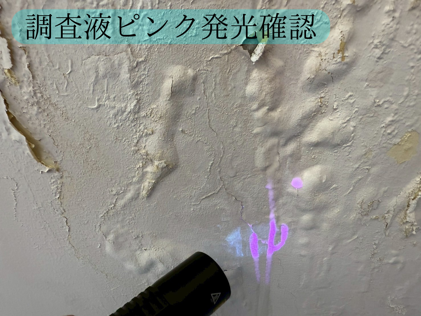 Slide 7