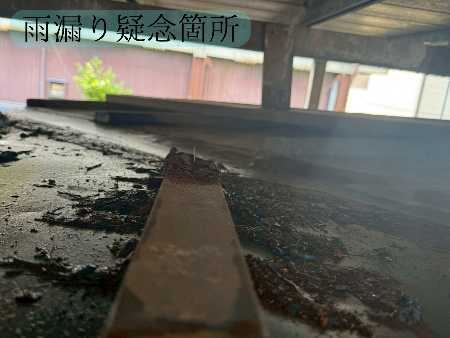 Slide 5
