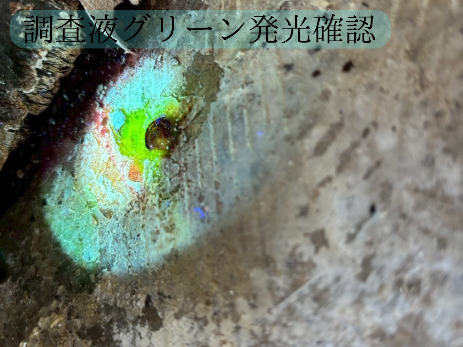 Slide 7