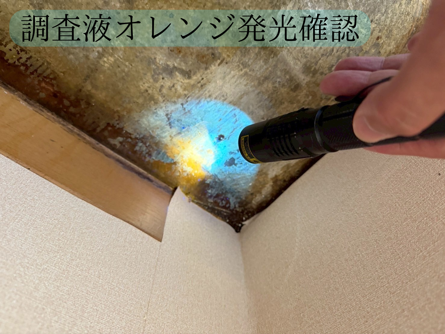 Slide 10