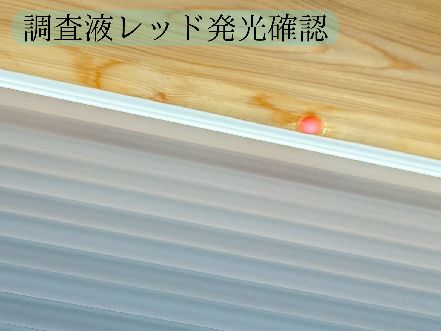 Slide 6